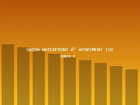 Apartment 11B 3