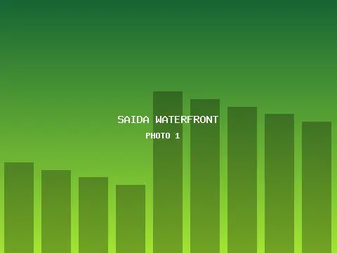 Saida Waterfront