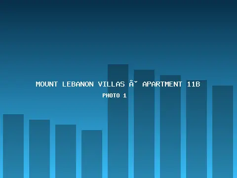 Apartment 11B 1